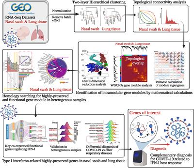Transcriptional Profiling and Machine Learning Unveil a Concordant Biosignature of Type I Interferon-Inducible Host Response Across Nasal Swab and Pulmonary Tissue for COVID-19 Diagnosis